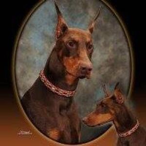 Meet your Posher, Sharon